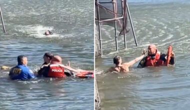 Accused crook leaps into NYC's Central Park lake while running from cops