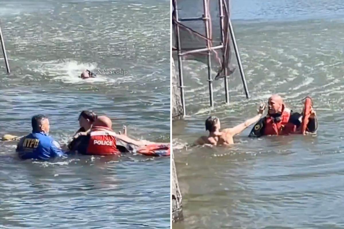 Accused crook leaps into NYC's Central Park lake while running from cops