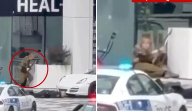 Shooting at Montreal grocery store leaves numerous people injured