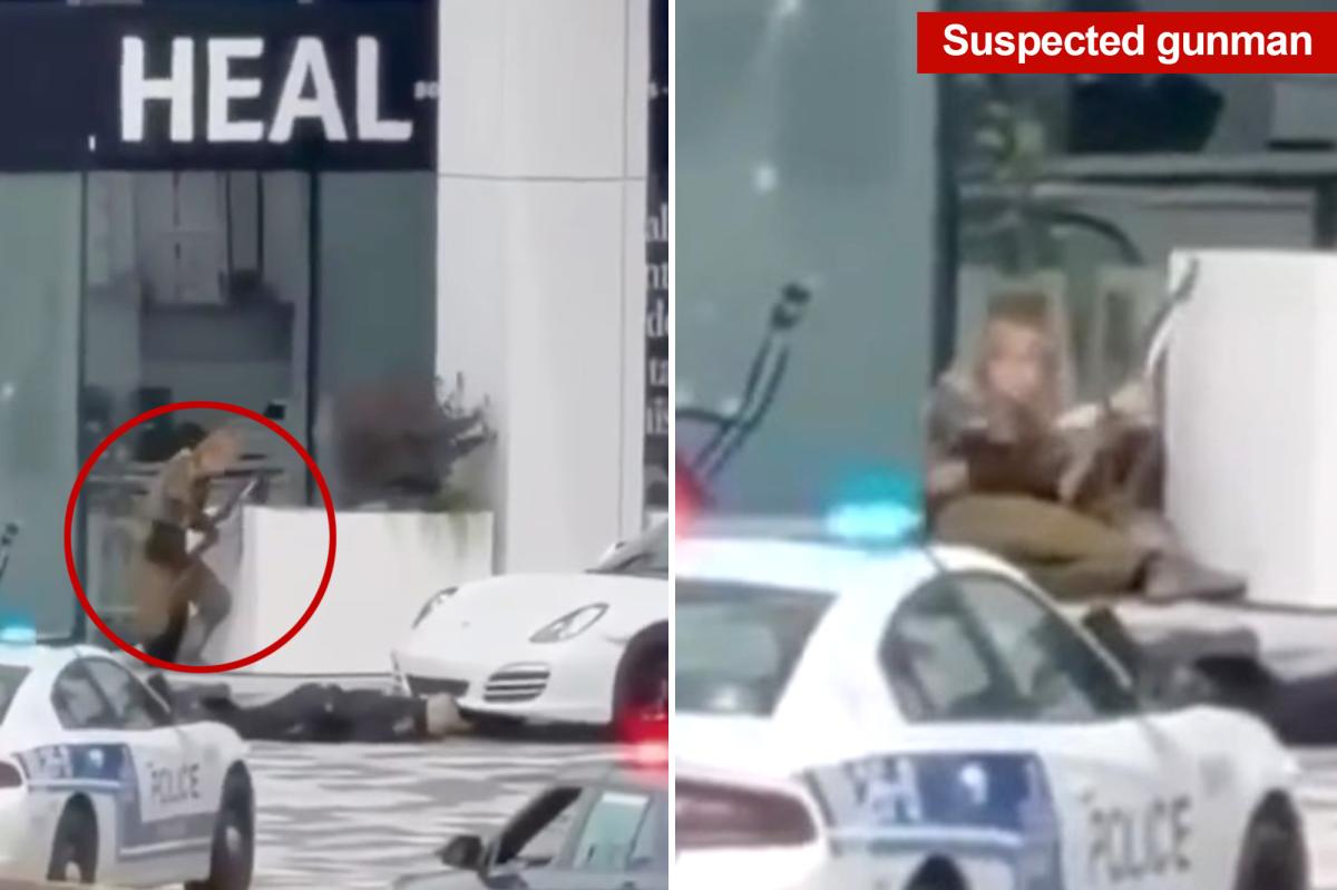 Shooting at Montreal grocery store leaves numerous people injured