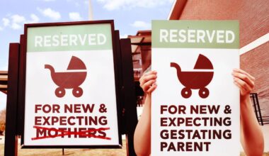 Dems replace 'mother' with 'gestating parent' in latest woke rewrite of NYS law