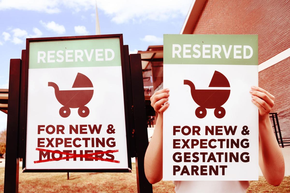 Dems replace 'mother' with 'gestating parent' in latest woke rewrite of NYS law