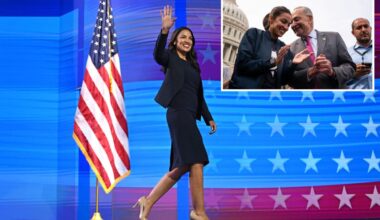 Zohran Mamdani's NY socialist sweep could spur AOC White House bid: insiders