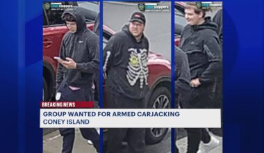 News 12 | Brooklyn | Group Sought In Connection To Armed Robbery In Coney Island