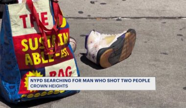 News 12 | Brooklyn | Teen Man Injured In Crown Heights Double Shooting