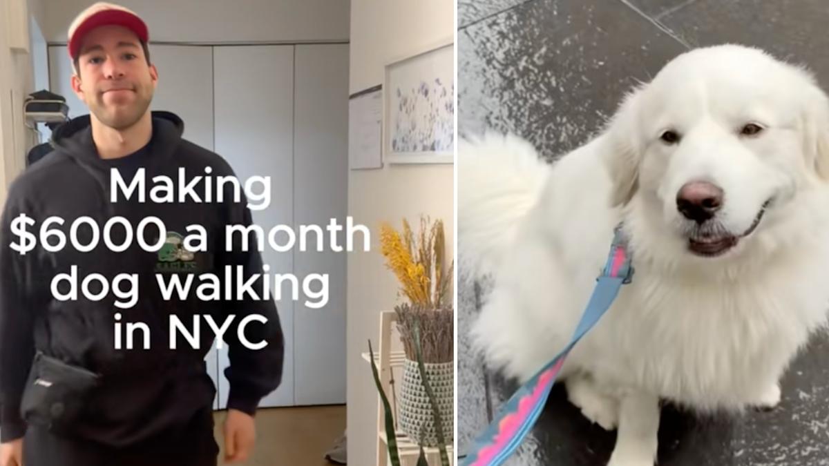 A 28-year-old NYC engineer walks dogs before work, at lunch and after — and pulls in $6,000 a month