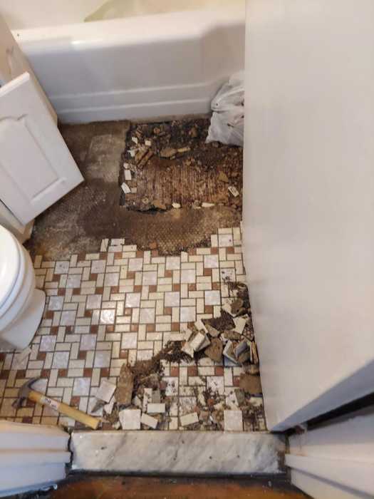 Conditions in a bathroom at the property. Photo via AAFE.
