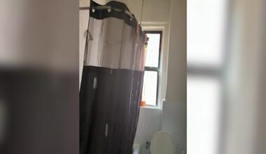 News 12 | Brooklyn | It Could Spark A Fire Flatbush Woman Frustrated With Leak In Ceiling