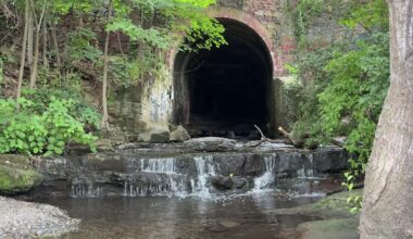 Dozens of girls emerge from drain after wandering into tunnel while on school trip in Rockland County