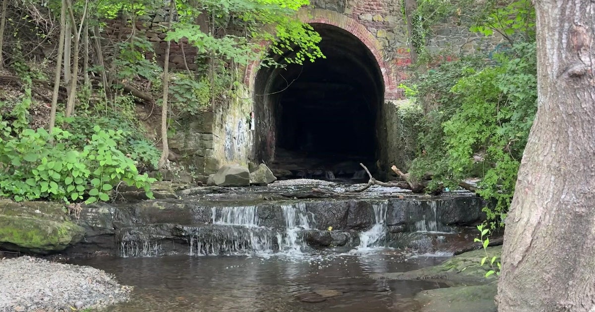 Dozens of girls emerge from drain after wandering into tunnel while on school trip in Rockland County