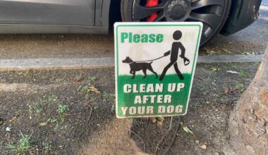 Dog poop is piling up on Manhattan streets and sidewalks, per new BP report