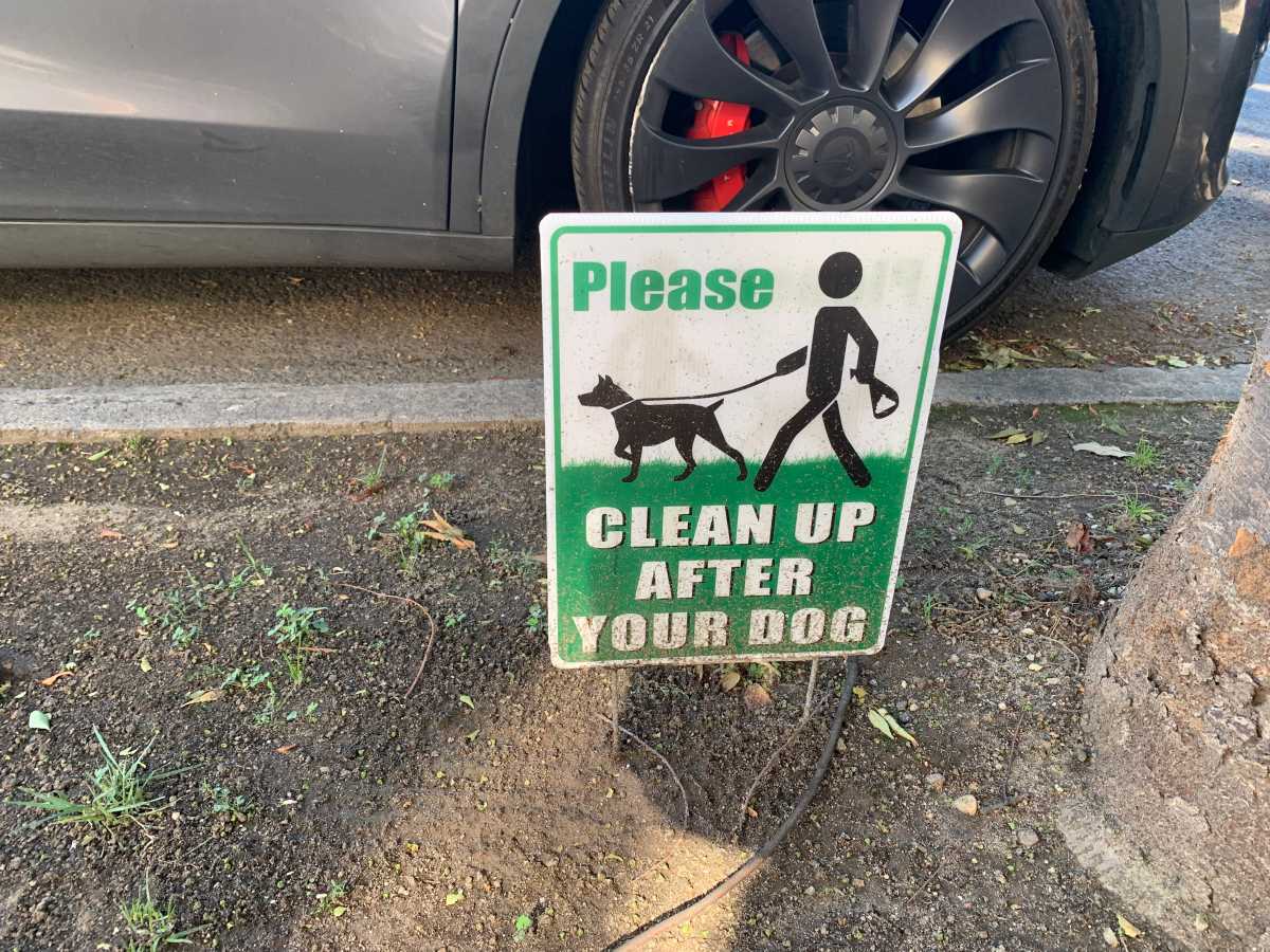 Dog poop is piling up on Manhattan streets and sidewalks, per new BP report