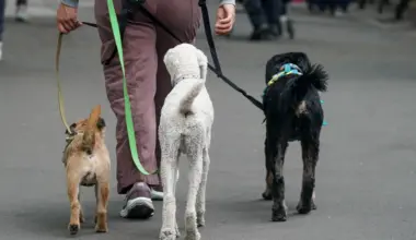 Dog poo plagues Manhattan, skidding to gross record over winter: ‘This c— has to stop’