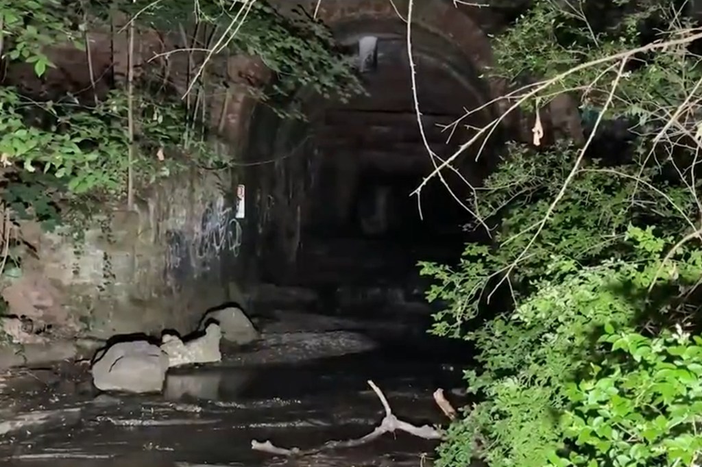 A dark, arched drainage tunnel with water flowing out of it.