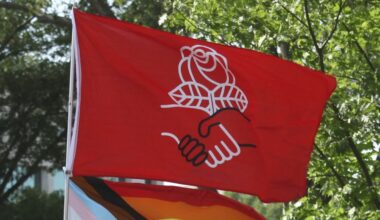 DSA flag