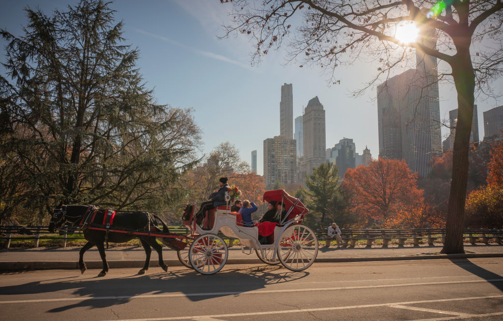 “A heartbreaking tragedy” rehashes calls for NYC carriage ban