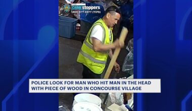 News 12 | Bronx | Man Allegedly Hit In Head Twice With Piece Of Wood After Dispute In Concourse Village