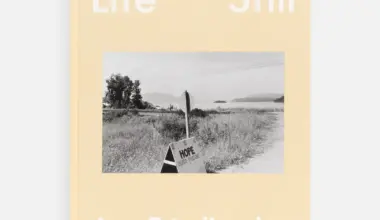 Lee Friedlander: Life Still