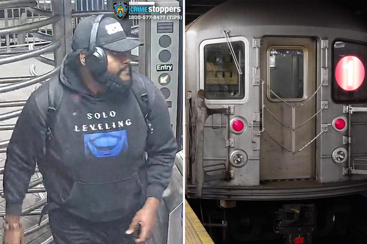 Elderly straphanger injured after being shoved onto NYC subway platform
