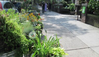 Brooklyn Botanic Garden Celebrates 30 Years of Blooming Blocks