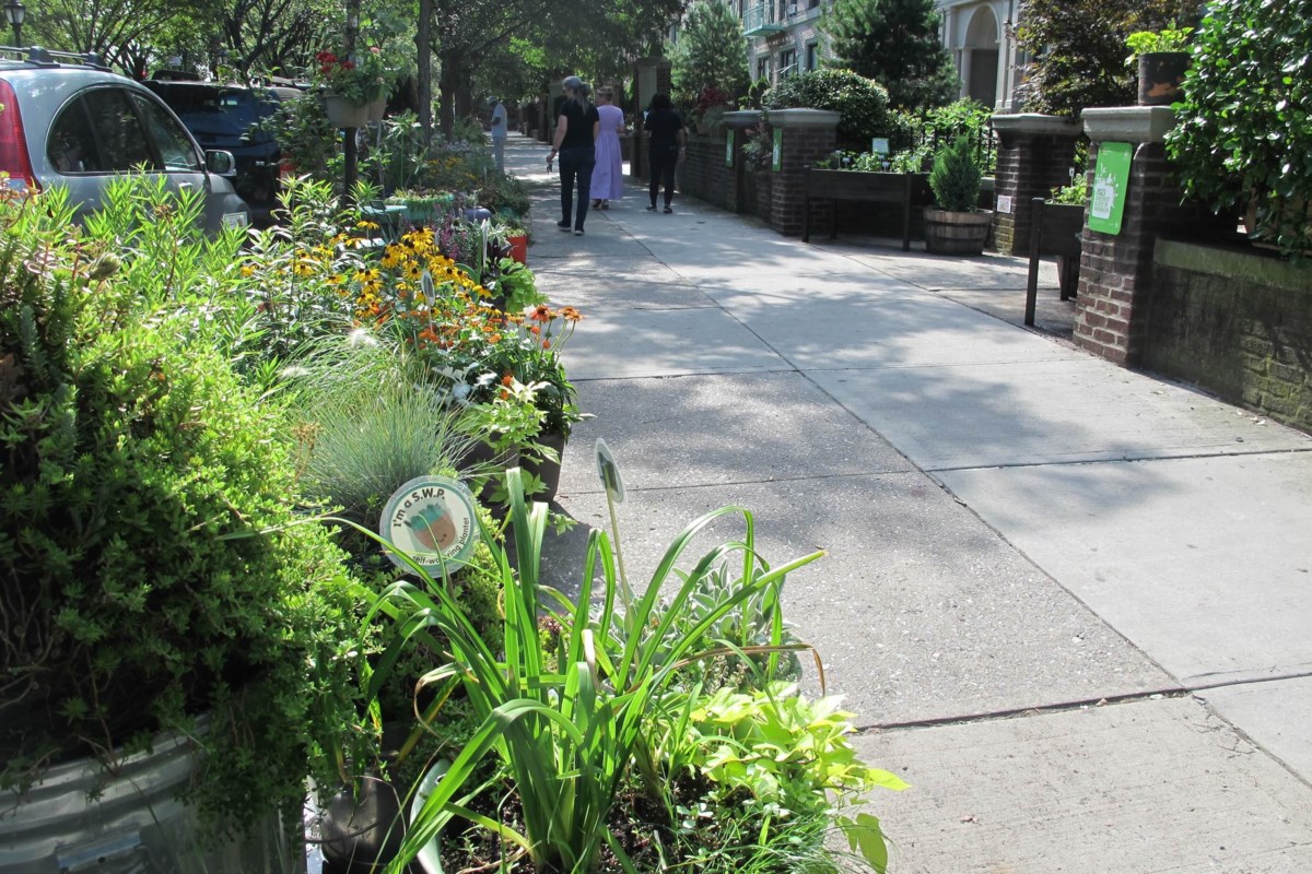 Brooklyn Botanic Garden Celebrates 30 Years of Blooming Blocks
