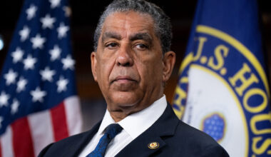 Congressional Hispanic Caucus Chair Adriano Espaillat is facing a primary challenge in New York from organizer Darializa Avila Chevalier.