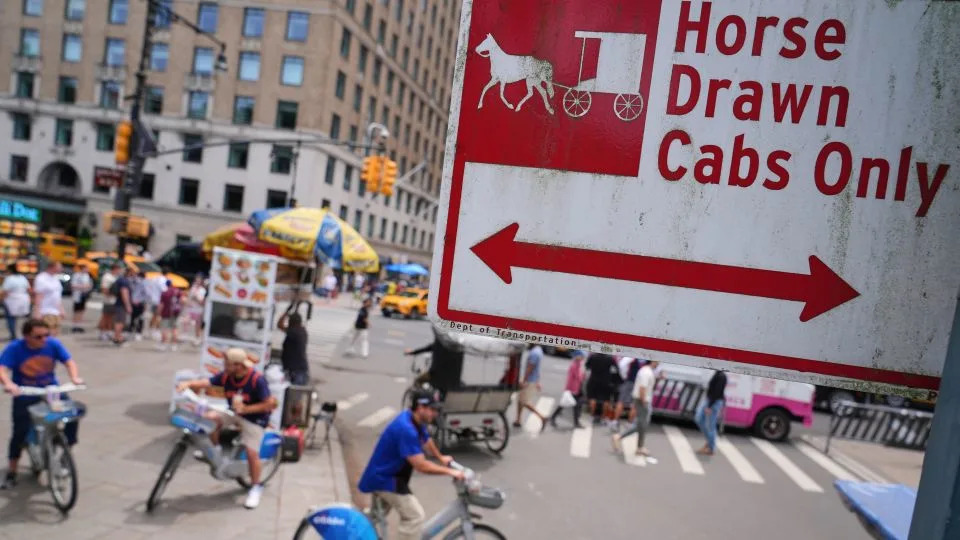 Cyclist and Pedicabs gather near Center Drive and Central Park South Thursday, June 18, in New York. - Frank Franklin II/AP