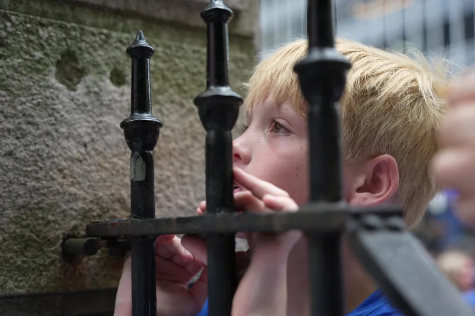 A child peers through a wrought iron fence, looking intently at something in the distance