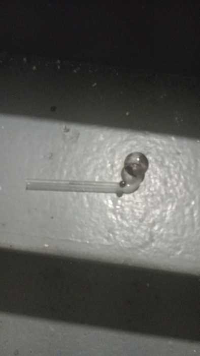 Residents have reported seeing drug paraphenalia throughout the property. Photo via AAFE.