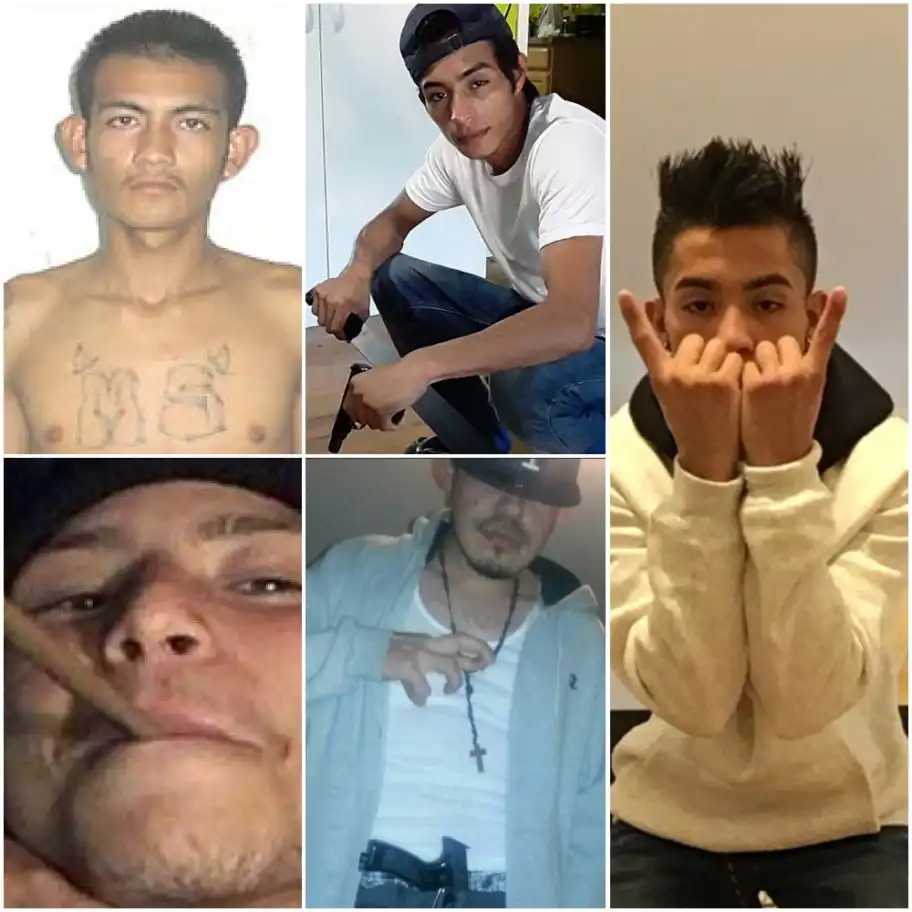 The U.S. Attorney’s Office for the Eastern District has secured convictions against hundreds of MS-13 members on federal felony charges since 2003. 