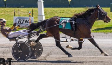 Harness: Knoxville feeling right at home in New York for Ray Schnittker