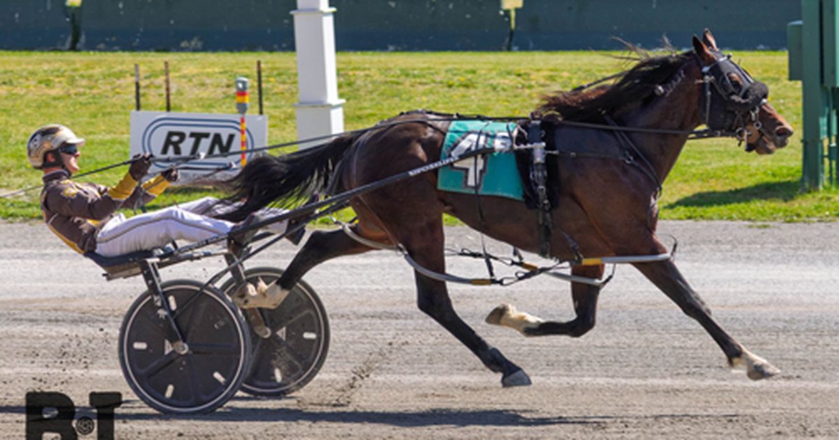Harness: Knoxville feeling right at home in New York for Ray Schnittker