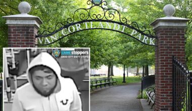 Girl reports rape in Bronx park