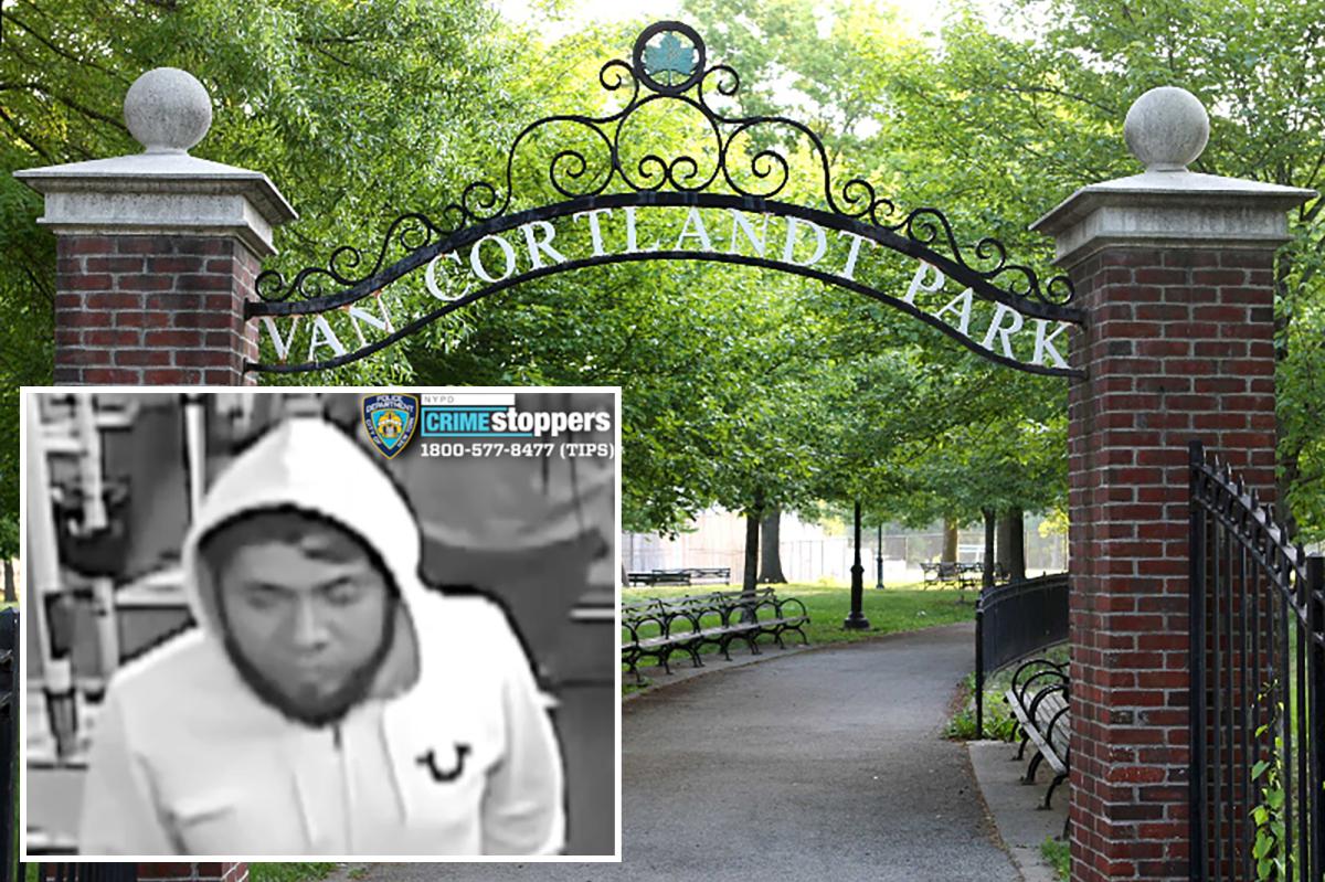 Girl reports rape in Bronx park