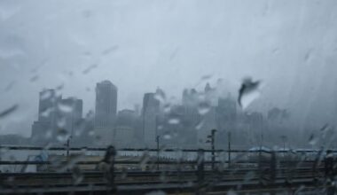 Elderly man crushed to death by tree during severe storms in New York City