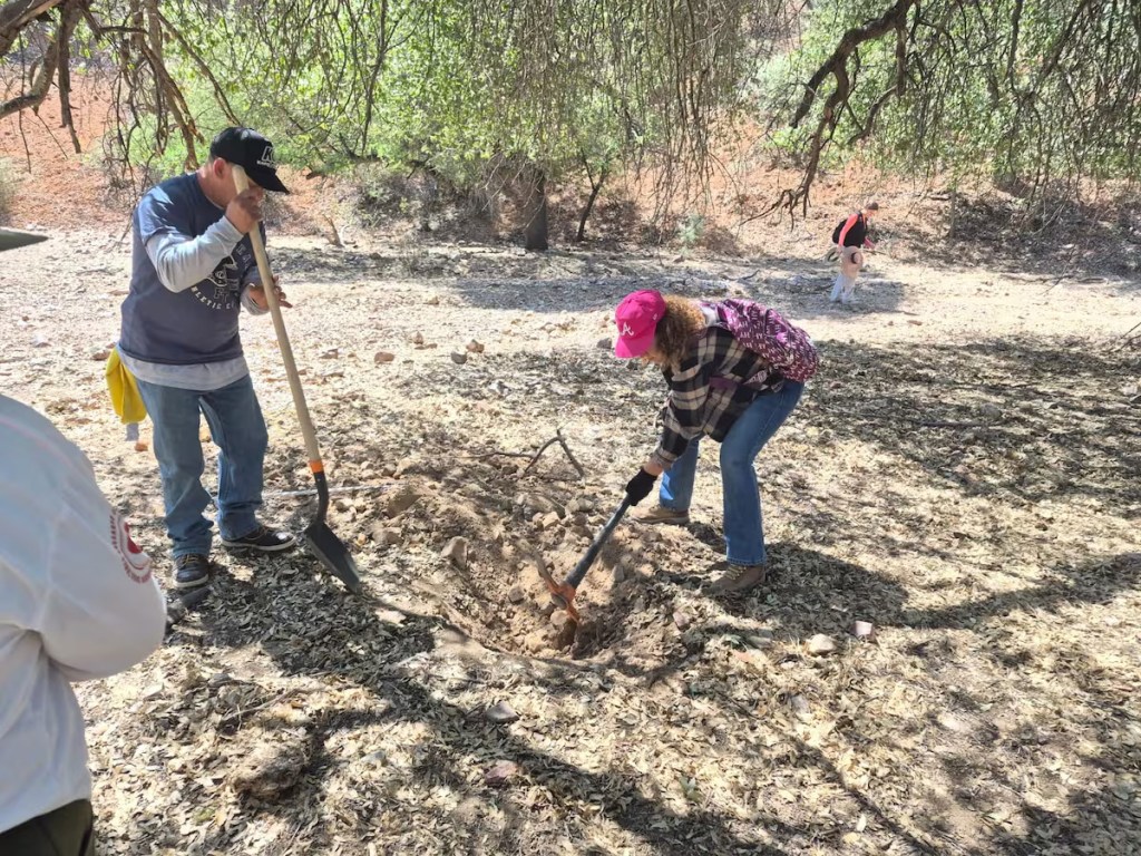 People digging in dry, rocky terrain to locate missing persons.