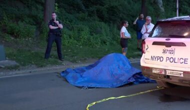 Carriage horse collapses, dies in Central Park, renewing calls to ban industry