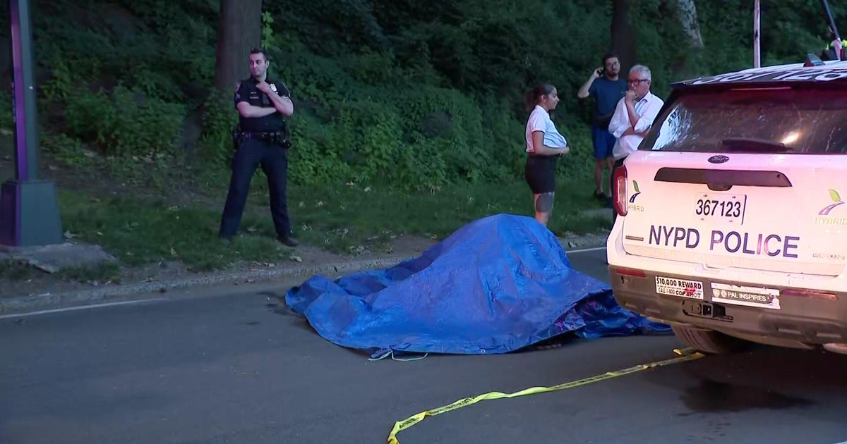 Carriage horse collapses, dies in Central Park, renewing calls to ban industry
