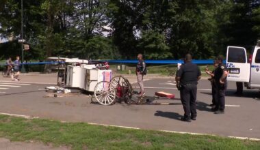Central Park horse carriage rides suspended until Tuesday in wake of tourist death