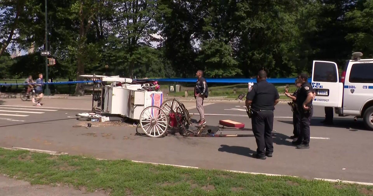 Central Park horse carriage rides suspended until Tuesday in wake of tourist death