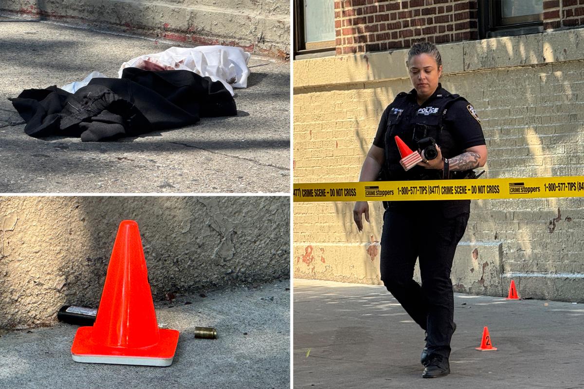 Elderly woman struck by stray bullet during NYC gun battle: cops, sources