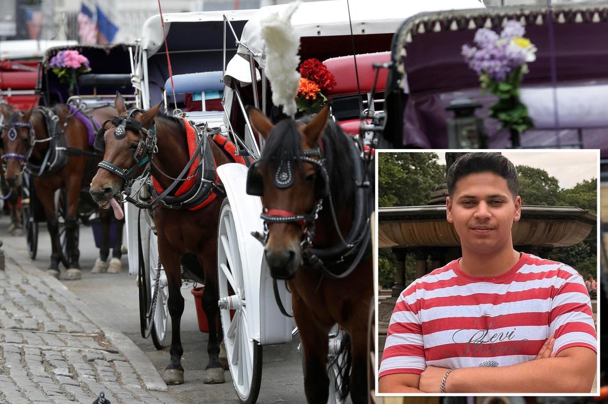 NYC bill to ban horse carriages to be renamed for teen killed in Central Park crash