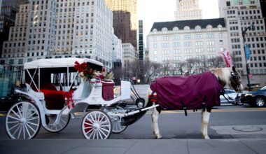 (AP Photo/Mary Altaffer, File)
