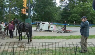 Central Park horse carriage rides shut down after death of Romanch Mahajan – NBC New York
