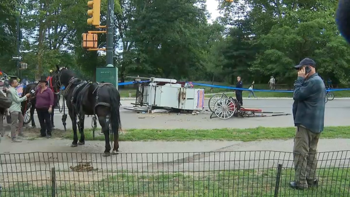 Central Park horse carriage rides shut down after death of Romanch Mahajan – NBC New York