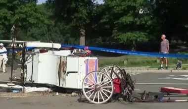 New York mayor, other leaders push to ban horse-drawn carriage rides after Indian teen's death