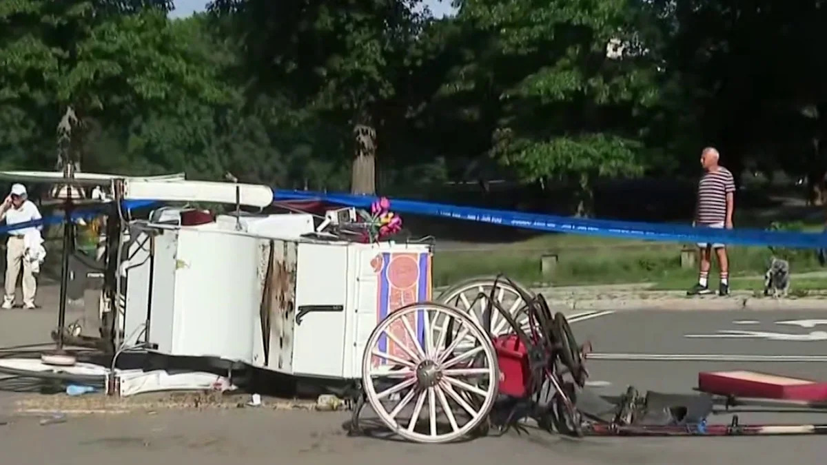 New York mayor, other leaders push to ban horse-drawn carriage rides after Indian teen's death
