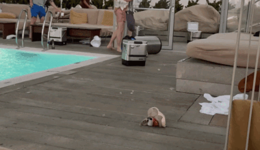 Objects Thrown Around Rooftop Pool as Severe Storm Lashes NYC