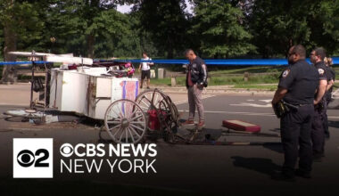 Teenager dies after being thrown from horse-drawn carriage in NYC's Central Park