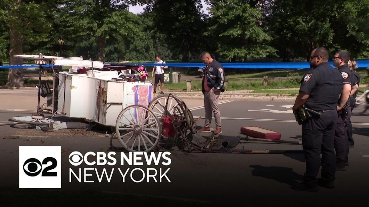 Teenager dies after being thrown from horse-drawn carriage in NYC's Central Park